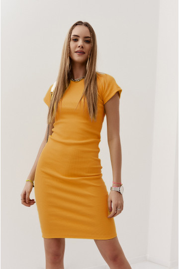 dress with short sleeves mustard colors 2