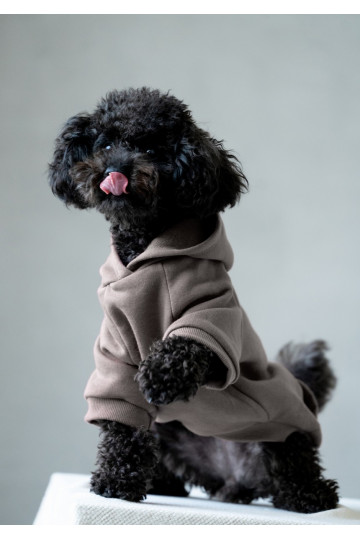 Pure - Taupe beige dog hoodie 2