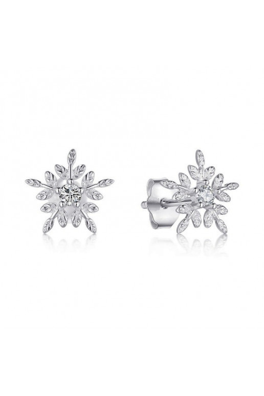 Earrings covered with 925 silver KST1427