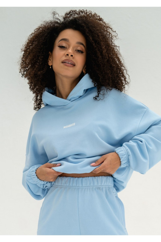 Icon - Baby blue hoodie