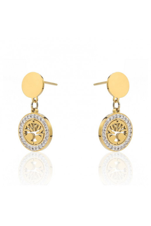 gold color-plated stainless steel earrings  KST2164