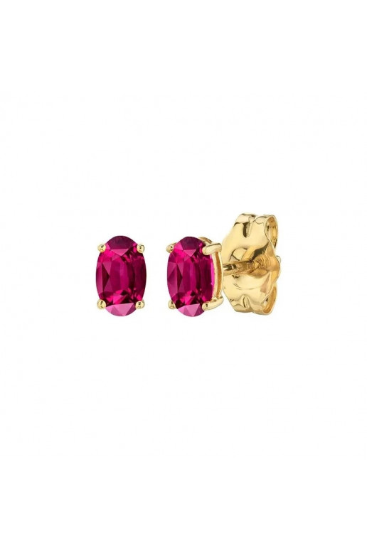 Stainless steel earrings platerowane cover with gold