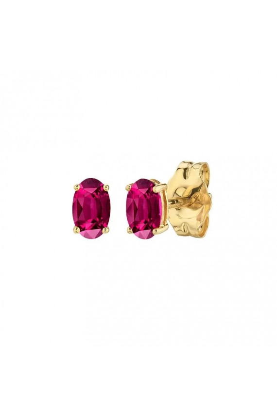 Stainless steel earrings platerowane cover with gold