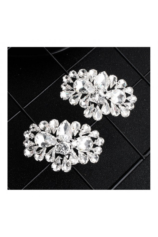 Gorgeous clips for shoes