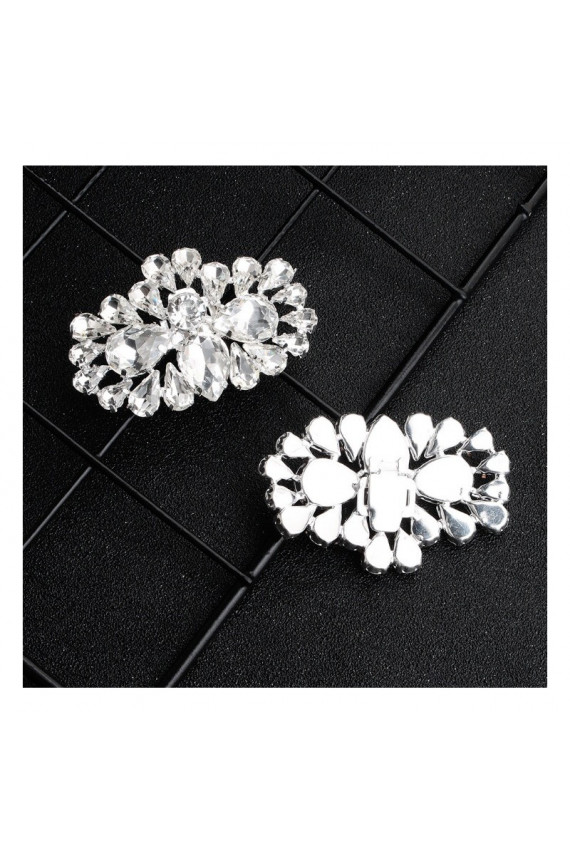Gorgeous clips for shoes
