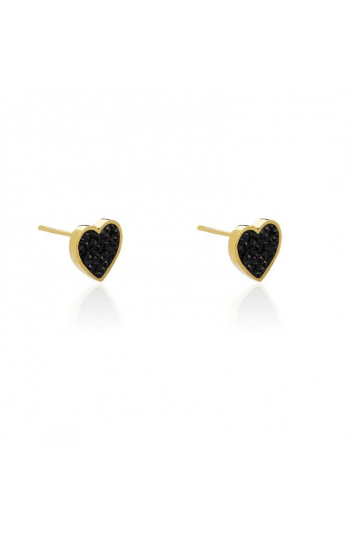 Gold color-plated stainless steel earrings