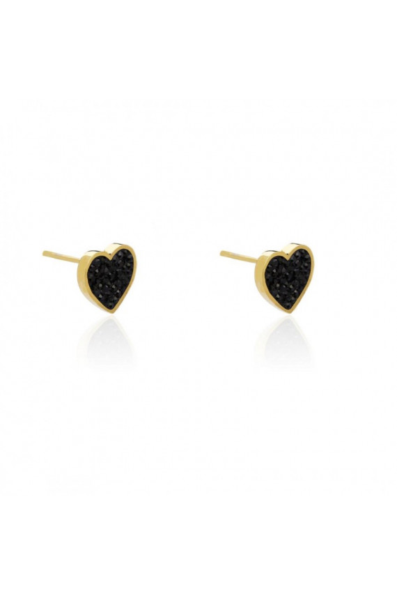 gold color-plated stainless steel earrings  KST1896