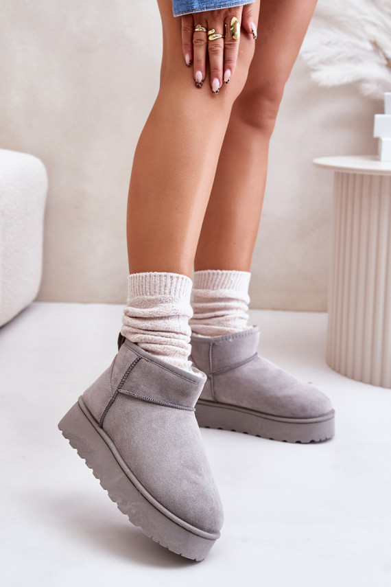 Women's Snow Boots On Platform Insulated With Fur Gray Xamella