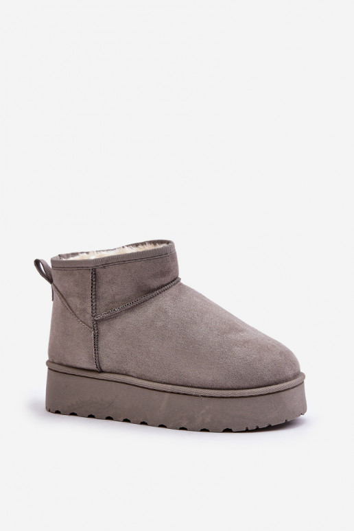 Women's Snow Boots On Platform Insulated With Fur Gray Xamella