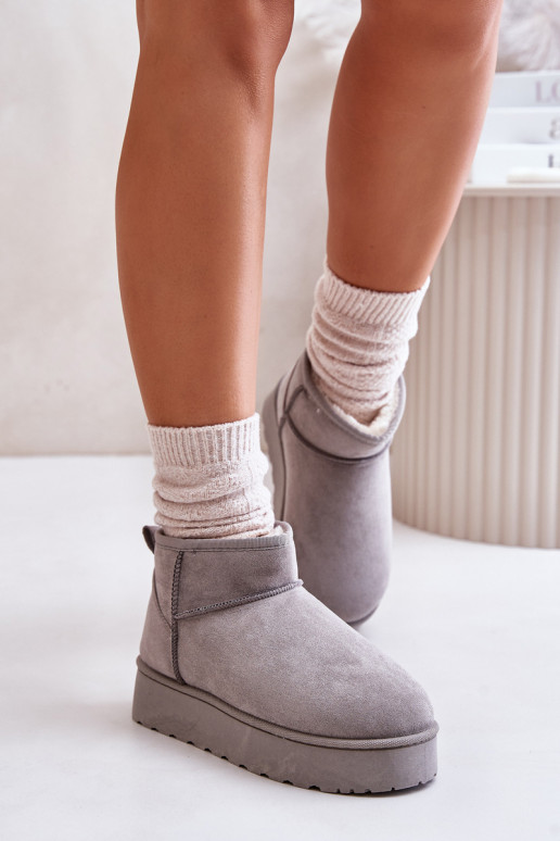 Women's Snow Boots On Platform Insulated With Fur Gray Xamella