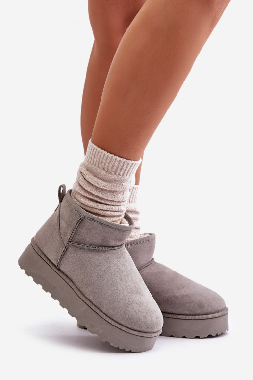 Women's Snow Boots On Platform Insulated With Fur Gray Xamella