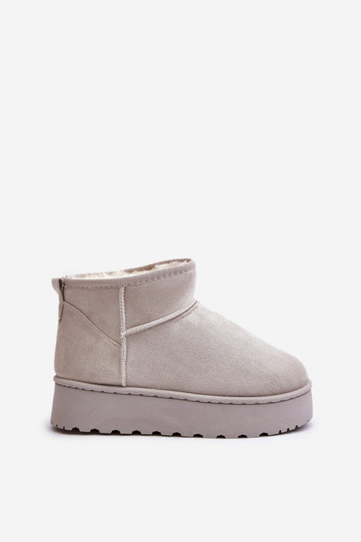 Women's Snow Boots On Platform Insulated With Fur Light Gray Xamella