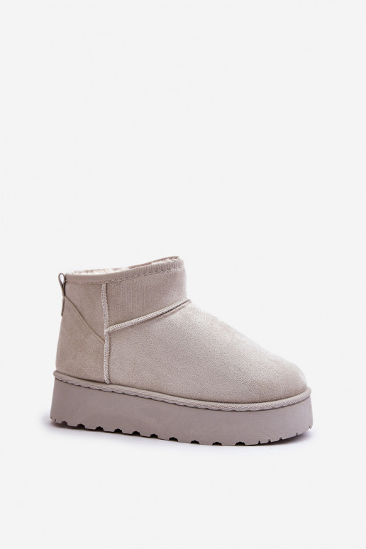 Women's Snow Boots On Platform Insulated With Fur Light Gray Xamella