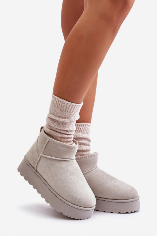 Women's Snow Boots On Platform Insulated With Fur Light Gray Xamella