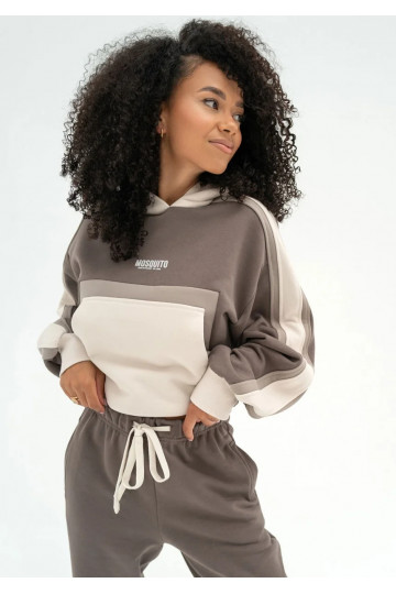 Fame - Tricolor hoodie Taupe 2