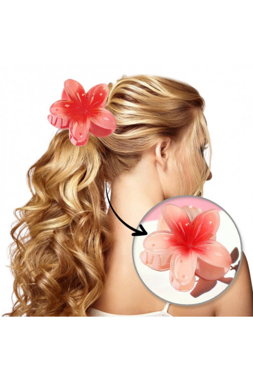 Gorgeous Barrette hair clip XL  ombre 7x8cm SP269R