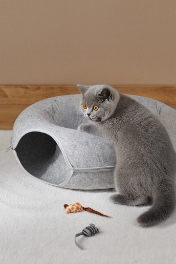 Bed for cats