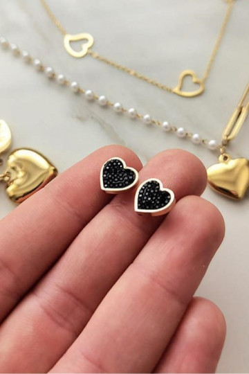 Gold color-plated stainless steel earrings
