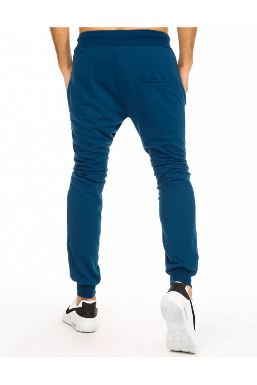 Vyriškos mėlynos sportinės kelnės