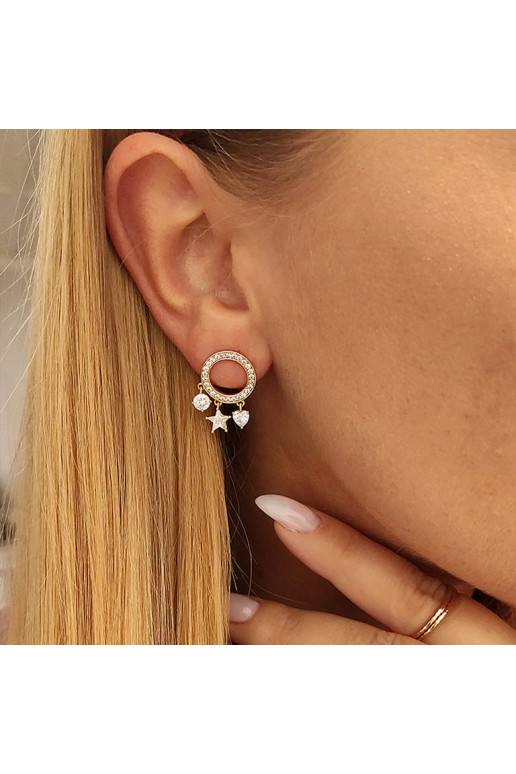 Stylish stainless steel earrings  KST1862