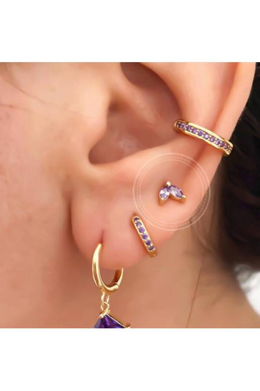 Stylish stainless steel earrings  KST2053FIO